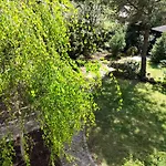 Hortensja *