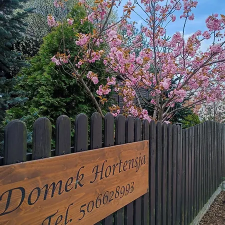 Hortensja
