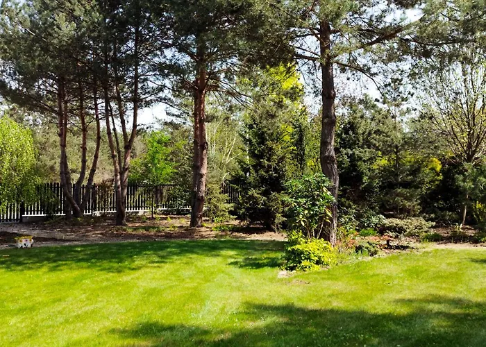 Hortensja * Zawady (Silesia)